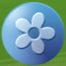 Hippie Days paytable Symbol 4